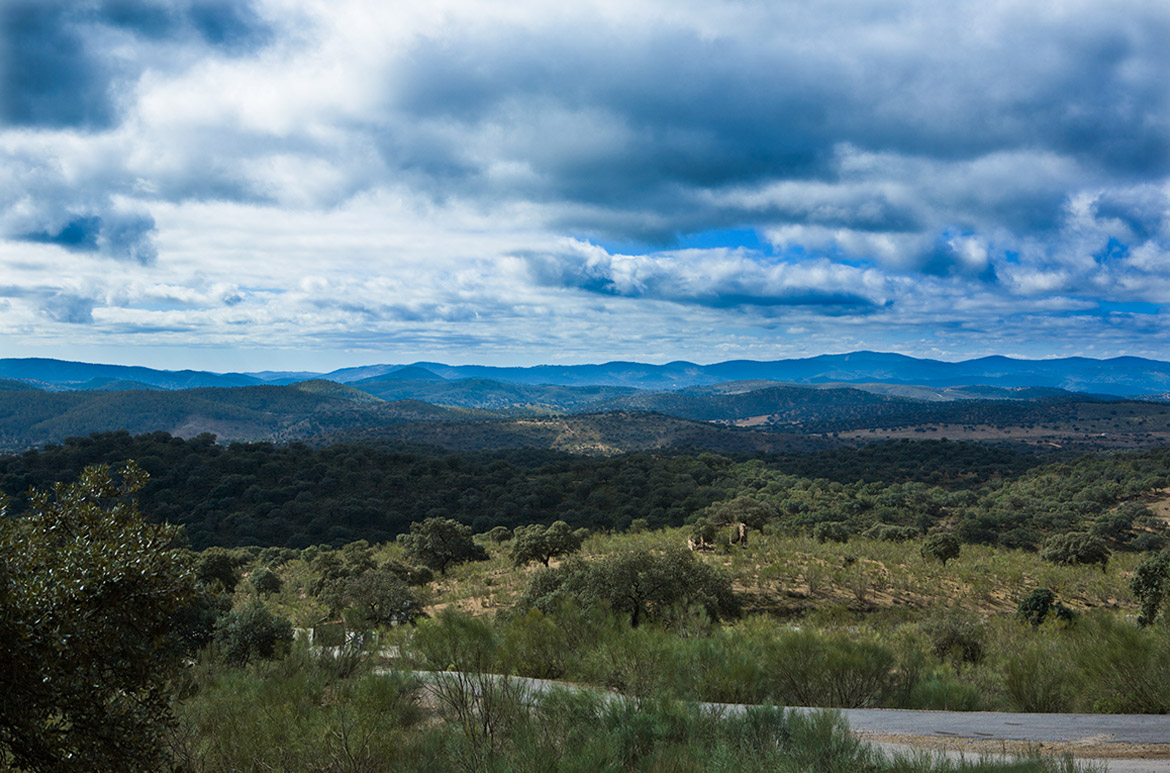 Landscape view