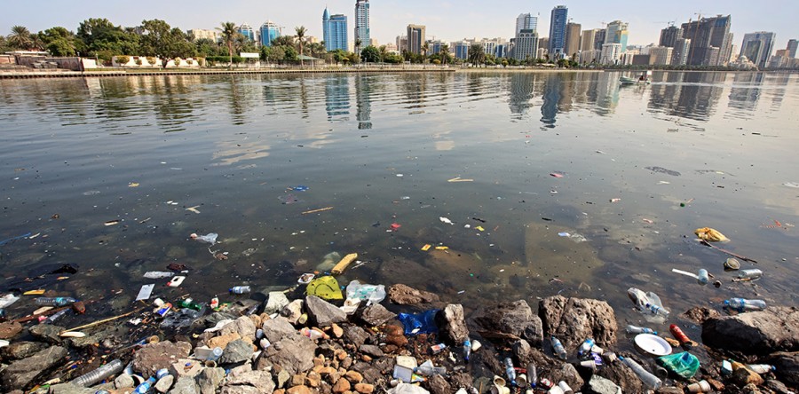 Suspendisse arcu nisl